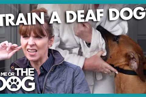 Victoria Teaches Owners How to Train a Deaf Dog | It's Me or The Dog