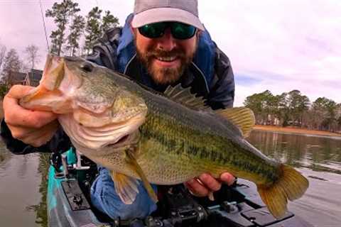 Lake Murray Bass Fishing (Suprise 7lbr)