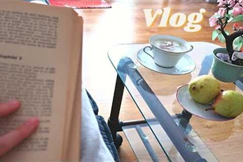 Vlog Ep. 1 | Making Gratitude Rocks | Living in Bucharest | Reorganizing | Vegan  Food