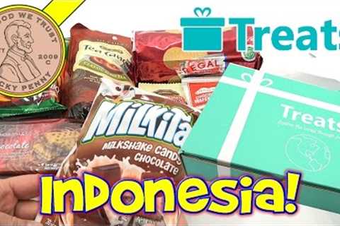Try Treats Indonesia Candy &amp; Food Monthly Subscription Snack Box