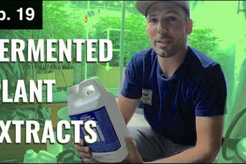 BuildASoil 10x10: HOW TO USE FERMENTS IN YOUR GARDEN: Season 2, Episode 19