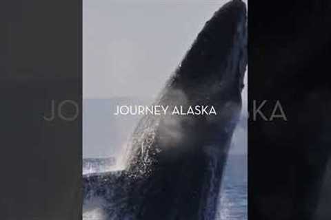 Journey Alaska with Celebrity Cruises