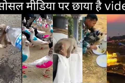 Trending video on social media||special movement video||#trending #viral #twitter media official ||.