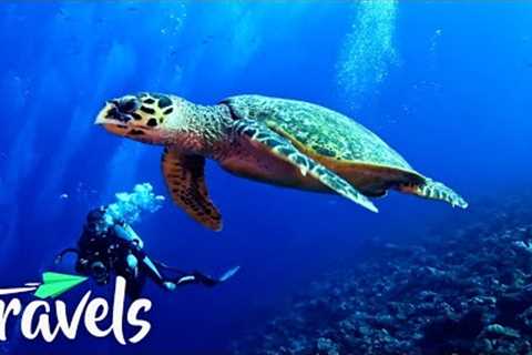 Top 10 Scuba Diving Destinations