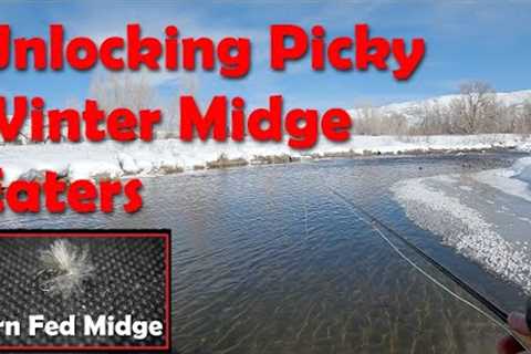 Winter has the BEST Dry Fly Fishing - Midges on the Middle Provo