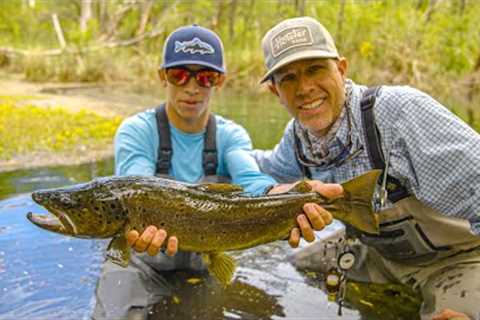 Massive Brown Trout Eating Flies | Fly Fishing Argentina