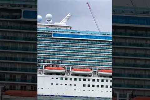 Here’s the real size of a cruise ship! #shorts #cruise  #princesscruises #cruiseship