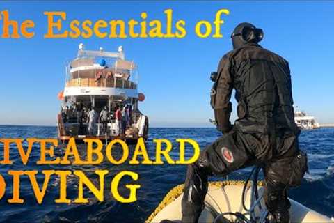 Liveaboard Diving - The Ultimate Guide - The Essentials