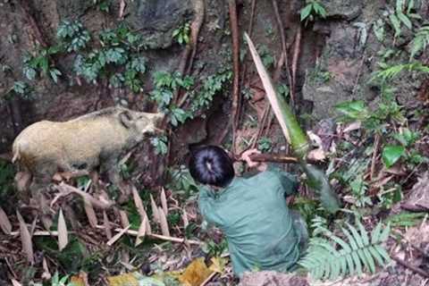 Survival skills, boar trap skills, survival alone, farm in the forest