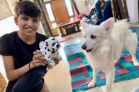 Fake Dog Prank On Oreo 😂