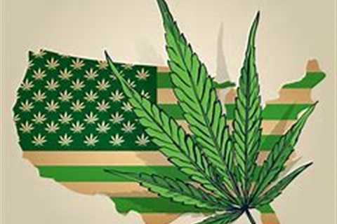 Top Marijuana Legalization Guide!