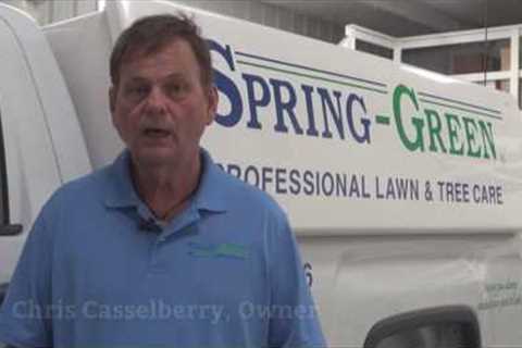 Fertilizing, Weed Control &amp; More in Slidell, LA | Spring-Green