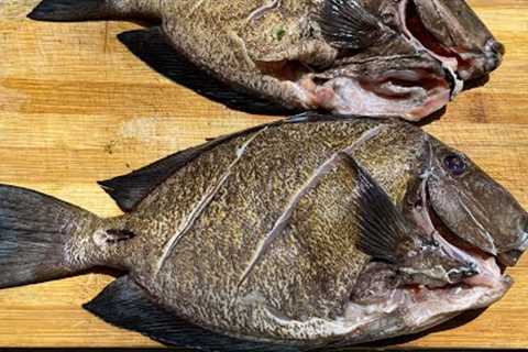 Doctor Fish Catch N Cook / Steam Fish and Okra