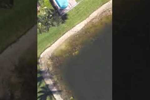 Diver Makes A Chilling Discovery After Finding This In A Lake Next To His Home #shorts