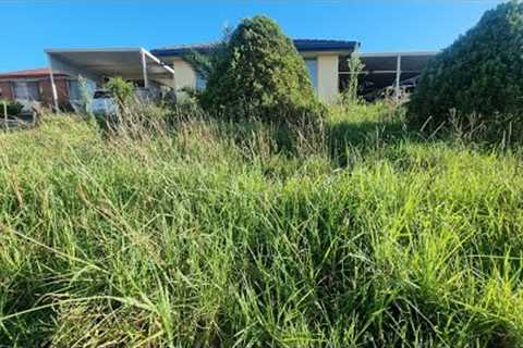 Neighbours ANGRY With 70 Yr Old DISABLED Man's OVERGROWN Lawn &amp; DEMAND It's MOWED
