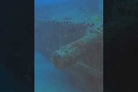 Short: Scuba Diving The British Virgin Islands, Wily T Wreck