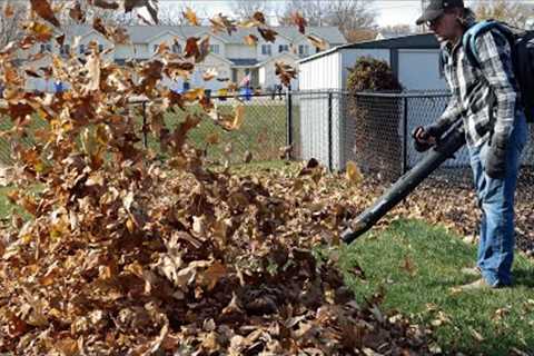 Rake, Bag Or Mulch Leaves?? + How LOW For LAST MOW??