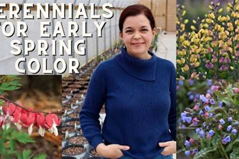 Perennials for Early Spring Color | Gardening with Creekside