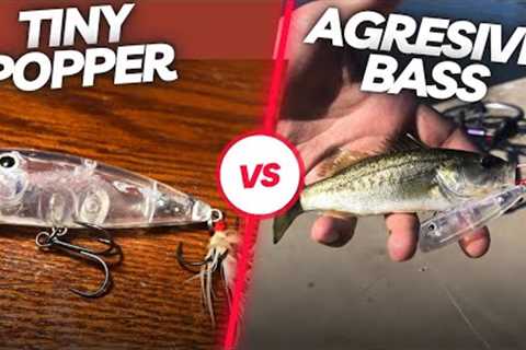 Tiny popper Destroyed by super aggressive pond bass | lake balboa fishing