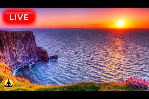 🔴 Relaxing Music 24/7, Sleep Music, Stress Relief Music, Spa, Meditation, Yoga, Zen, Sleeping Music