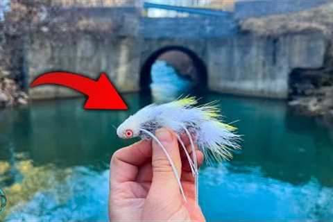 INCREDIBLE Winter Fly Fishing for BIG Brown Trout! (Streamer Fishing)