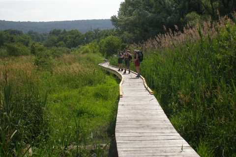 The Top 7 Best Hikes You Should Try in the United States