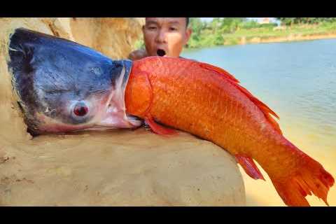 Top 10 Video Of Fishing Underground Big Stuck Fish Catching River Dry Sand Hole By Hand