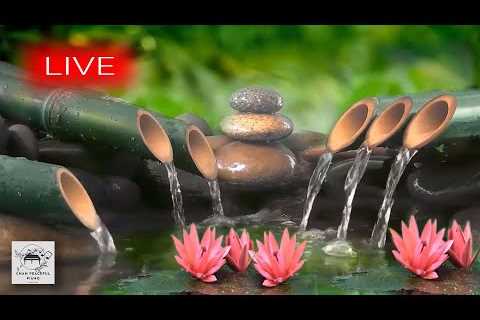 🔴 Relaxing Music 24/7, Stress Relief Music, Meditation, Spa, Sleep, Zen, Calming Music, Study, Yoga