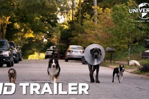 STRAYS – Official Trailer