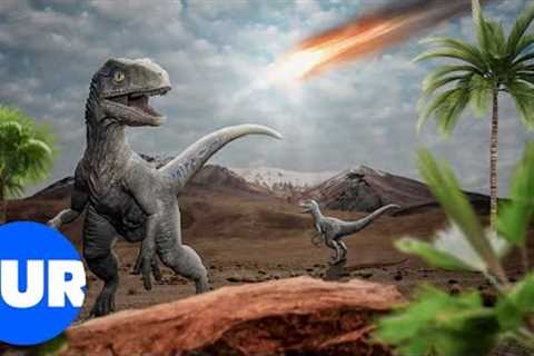 Were The Dinosaurs Really Wiped Out By A Meteor? | Our History