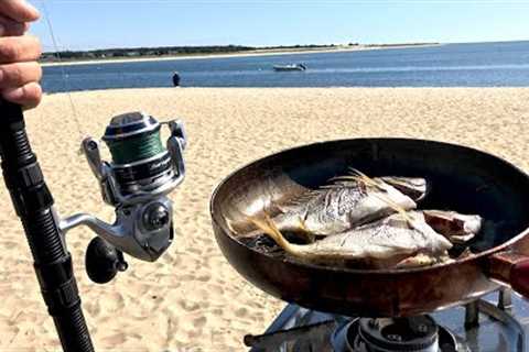 Catching and eating WILD FISH right off RANDOM Beach!