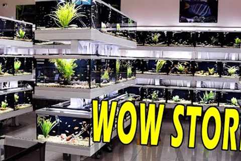 Epic Fish Store - Amazing Freshwater Aquarium Setups