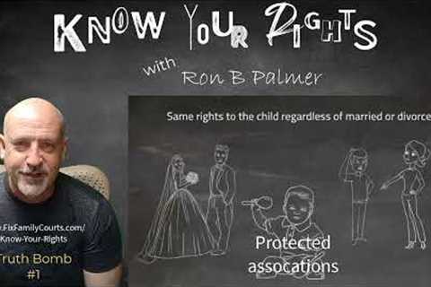 Information you need to protect your rights in family court - Truth Bomb 1 by Ron B Palmer