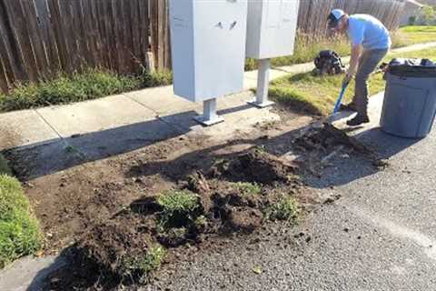 INJURED Homeowner UNABLE to Keep Up with Lawn gets SURPRISE TRANSFORMATION