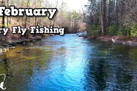 A Little Dry Fly Action | East Tennessee Fly Fishing