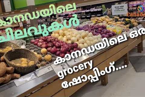 Living Expenses in Canada, monthly Grocery expenses in Canada, Canada Supermarket Shopping