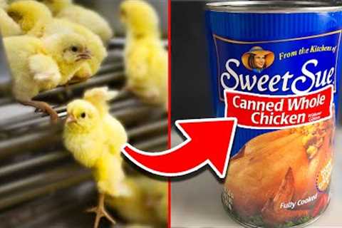 10 SURVIVAL Foods Every Prepper Should Stockpile