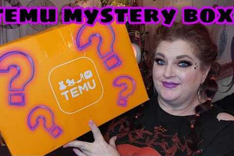 Temu Mystery Box Unboxing | Whats Inside?  *OMG, it's gorgeous!*