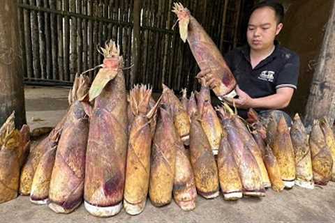 Harvest bamboo shoots at the beginning of the season, It's very big bamboo shoot | Primitive Skills