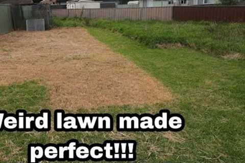 2 days to cut that patch? I'll do it in a few hours! Tall grass cutting