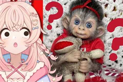 CRAZIEST Exotic Pets || Exotic Pet Trade
