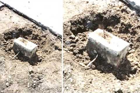 Scientists Just Made A Chilling Discovery Underneath The Notre Dame &amp; Revealed This