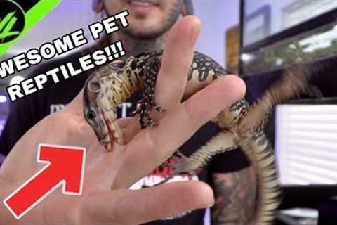 CRAZY EXOTIC PET LIZARDS!!!
