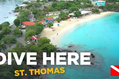 Scuba Diving from Shore (Coki Beach - St. Thomas)