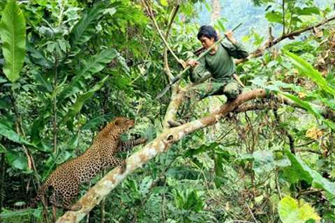 Survival, skills, Attacked by wild animals, quickly find shelter, survival instinctively
