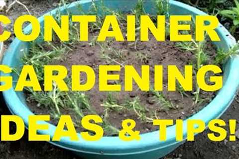 CONTAINER GARDENING│GARDEN IDEAS│GARDENING PHILIPPINES