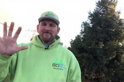 When do you start a Tall Fescue Turf lawn care program?