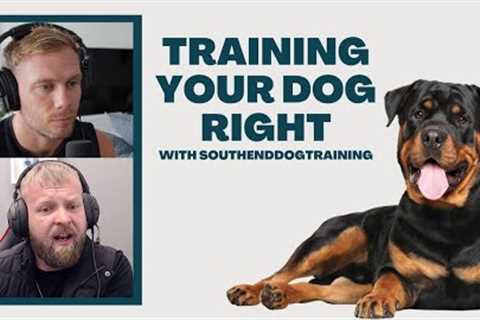 10 Common Dog Training Mistakes We're ALL Making