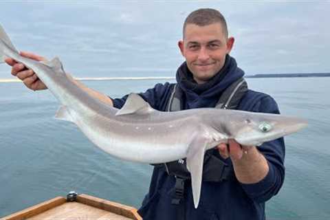Sea Fishing UK Day and Night - Exploring Reef way offshore catches LOTS OF SHARKS! | The Fish Locker