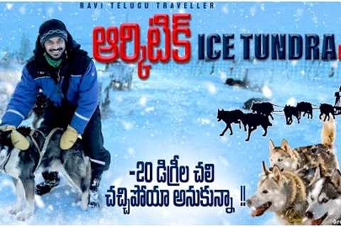 Sledding on the Frozen Tundra | Arctic Polar Regions | Ice Caves North Pole | Ravi Telugu Traveller